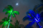 One of my creative specialities is night or low-light photography. The moon over head gave a halo rim-light on the palm trees.
